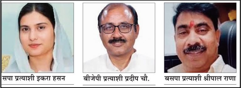 कैराना लोकसभा सीट पर चुनावी दंगल में 14 प्रत्याशी