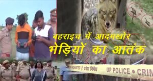 Bahraich trembles with wolves