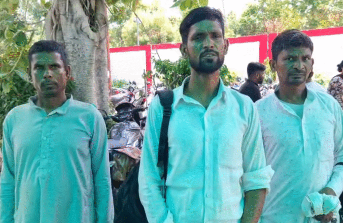 The bullies are capturing the plot by making fake papers