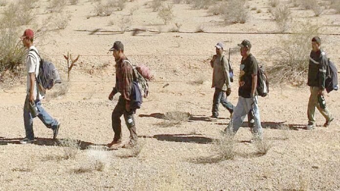 ED raids 11 places in Donkey Route case, action taken in Punjab and Haryana