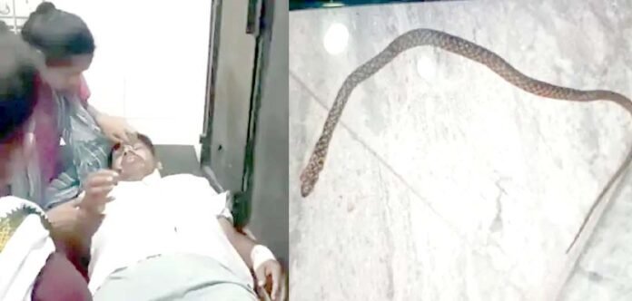 Sambhal Saanp ne kata snake