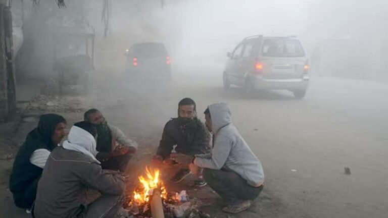 UP Weather: प्रचंड सर्दी और कोहरे की चपेट में आया उत्तर प्रदेश, कई जिलों के लिए अलर्ट हुआ जारी
