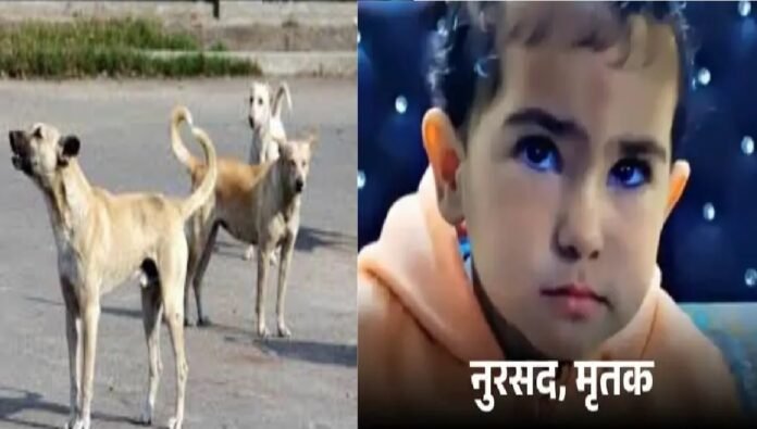 Moradabad me bacchi ko kutto ne mara