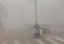 Meerut Weather News: घने कोहरे और शीतलहर से जनजीवन हुआ प्रभावित Meerut Weather News