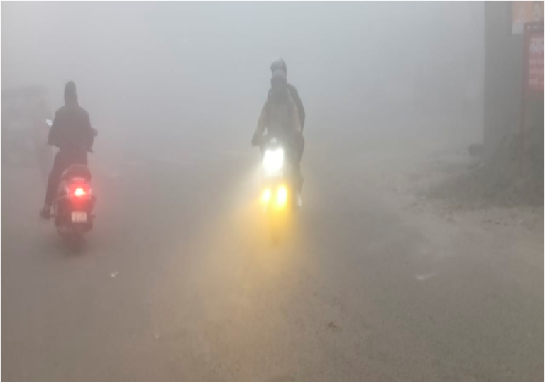 Meerut Weather News: जमकर चल रही शीतलहर, छाया कोहरे का कहर