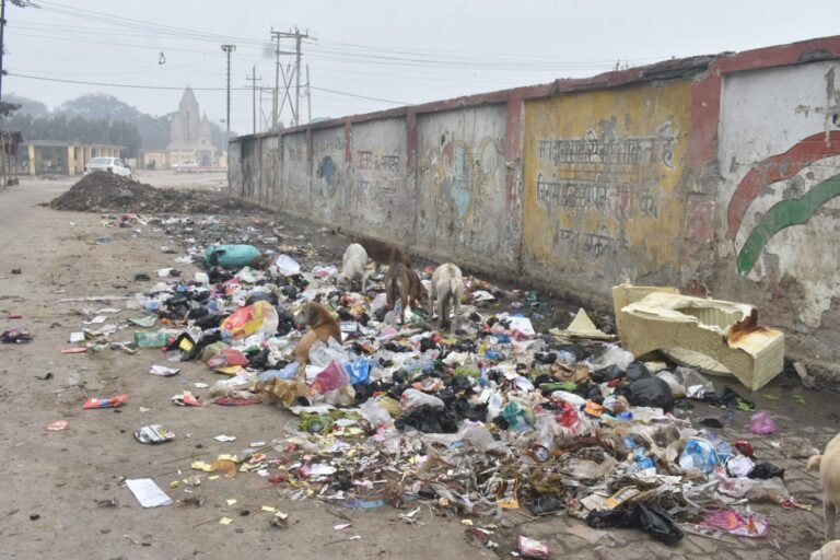 मेरठ: लाखों खर्च फिर भी शहर भर में कूड़े और गंदगी का अंबार, बढ़ रहा बीमारियों का खतरा