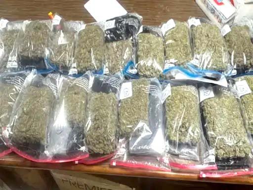 हाइड्रोपोनिक गांजा