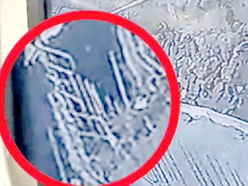 Worker Hansraj dies after falling into a drain under construction in Gorakhpur